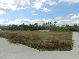  Land for sale in Alfonso, Cavite, Alfonso