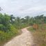  Land for sale in Moalboal, Cebu, Moalboal