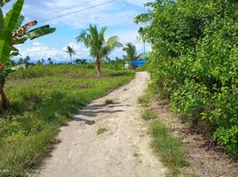  Land for sale in Moalboal, Cebu, Moalboal