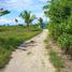  Land for sale in Moalboal, Central Visayas, Moalboal