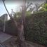 7 Bedroom House for sale in Huitzilac, Morelos, Huitzilac, Morelos