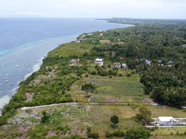  Land for sale in Panglao, Bohol, Panglao