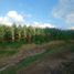  Land for sale in El Salto, Jalisco, El Salto