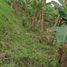  Land for sale in Santo Domingo De Los Colorados, Santo Domingo De Los Tsachilas, Santo Domingo De Los Colorados, Santo Domingo, Santo Domingo De Los Tsachilas