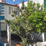 2 Bedroom Villa for sale in Zapotlanejo, Jalisco, Zapotlanejo