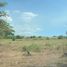 Terreno (Parcela) en venta en Tuy, Calabarzon, Tuy