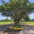  Land for sale in Negros Occidental Negros Island Region, Bacolod City