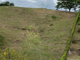  Terreno (Parcela) en venta en Cartago, Valle Del Cauca, Cartago