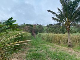  Terrain for sale in Pedernales, Manabi, Cojimies, Pedernales