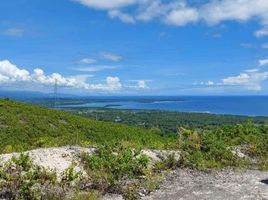  Grundstück zu verkaufen in Cebu, Central Visayas, Sibonga, Cebu