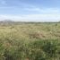  Land for sale in Tarlac, Central Luzon, Capas, Tarlac