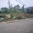  Terreno (Parcela) en venta en Cebu City, Central Visayas, Cebu City, Cebu, Central Visayas, Filipinas