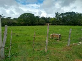  Land for sale in Tolima, Ibague, Tolima