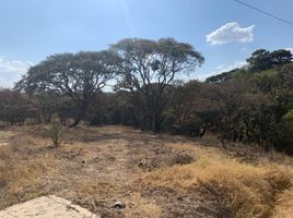 Terrain à vendre à Zapopan, Jalisco, Zapopan, Jalisco