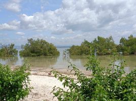  Grundstück zu verkaufen in Cebu, Central Visayas, Lapu-Lapu City, Cebu