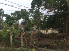  Land for sale in Panglao, Bohol, Panglao