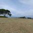 Land for sale in Lebrija, Santander, Lebrija