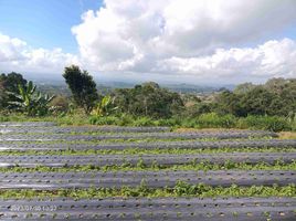  Grundstück zu verkaufen in Tabanan, Bali, Baturiti