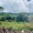  Land for sale in San Vicente, Mimaropa, San Vicente, Palawan, Mimaropa