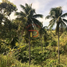 在三宝颜半岛出售的 土地, Manukan, Zamboanga del Norte, 三宝颜半岛