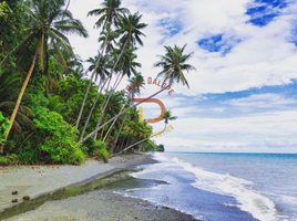 在三宝颜半岛出售的 土地, Manukan, Zamboanga del Norte, 三宝颜半岛