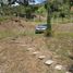  Land for sale in Girardota, Antioquia, Girardota