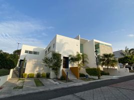 3 Habitación Apartamento en alquiler en Corregidora, Querétaro, Corregidora