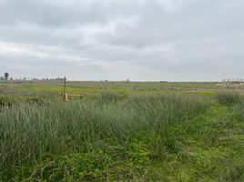  Terreno (Parcela) en venta en Chincha, Ica, Tambo de Mora, Chincha