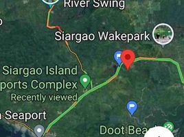  Land for sale in Surigao del Norte, Caraga, Pilar, Surigao del Norte