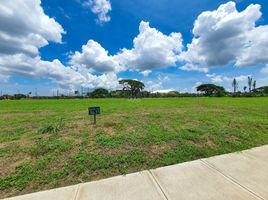  Terrain for sale in National University Laguna, Calamba City, Calamba City