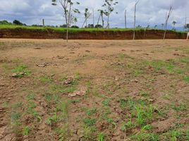  Terreno (Parcela) en venta en Ulloa, Valle Del Cauca, Ulloa