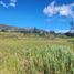  Terrain for sale in Yaruqui, Quito, Yaruqui