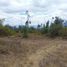  Land for sale in San Miguel De Urcuqui, Imbabura, Tumbabiro, San Miguel De Urcuqui