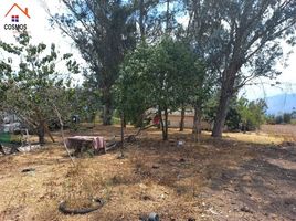  Terreno (Parcela) en venta en Imbabura, Tumbabiro, San Miguel de Urcuquí, Imbabura