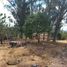  Land for sale in Tumbabiro, Imbabura, Tumbabiro, San Miguel De Urcuqui, Imbabura