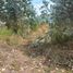  Land for sale in San Miguel De Urcuqui, Imbabura, Tumbabiro, San Miguel De Urcuqui