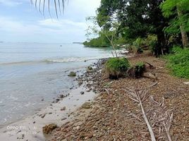  Grundstück zu verkaufen in Palawan, Mimaropa, Quezon