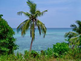  Land for sale in Bounty Beach, Daanbantayan, Daanbantayan