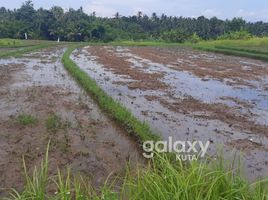  Land for sale in Selemadeg, Tabanan, Selemadeg