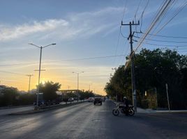  Grundstück zu verkaufen in Cozumel, Quintana Roo, Cozumel