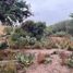  Land for sale in Soledad De Graciano Sanchez, San Luis Potosi, Soledad De Graciano Sanchez