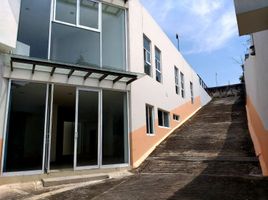 163.30 m² Office for rent in Coatepec, Veracruz, Coatepec