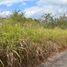  Land for sale in Rizal, Calabarzon, Antipolo City, Rizal