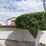 4 Bedroom House for sale in Dist Huajuapam, Oaxaca, Dist Huajuapam