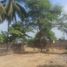  Land for sale in Rocafuerte, Manabi, Rocafuerte, Rocafuerte