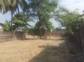  Land for sale in Rocafuerte, Manabi, Rocafuerte, Rocafuerte