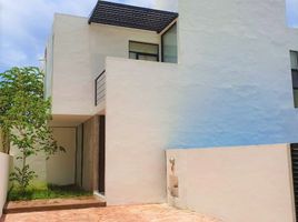 3 Bedroom Apartment for rent in Cozumel, Quintana Roo, Cozumel, Quintana Roo