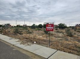  Grundstück zu verkaufen in Castilla, Piura, Castilla, Piura, Piura