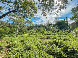  Land for sale in Sugbongcogon, Misamis Oriental, Sugbongcogon