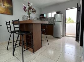 2 Schlafzimmer Wohnung zu vermieten in Merida, Yucatan, Merida, Yucatan, Mexiko